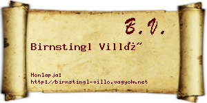 Birnstingl Villő névjegykártya